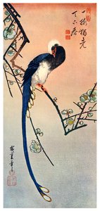 Long Tailed Blue Bird on Branch of Plum Tree in Blossom, 19th Century by Unbekannt