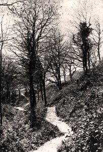 Lovers Lane, Fairlight, Hastings, Sussex by Unbekannt