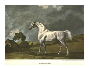 Mambrino, c1779, c1955