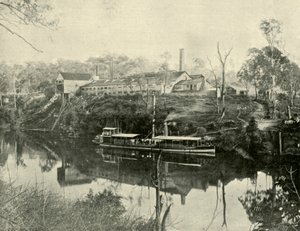 Meat Works, near Grafton, New South Wales