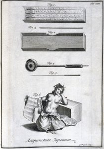 Acupuncture Needles and Their Application, c. 1690, Engraving by G. van der Gucht by Unbekannt