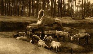 Memphis - The Alabaster Sphinx