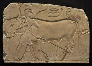 Men Trussing an Ox, 667-647 BC by Unbekannt