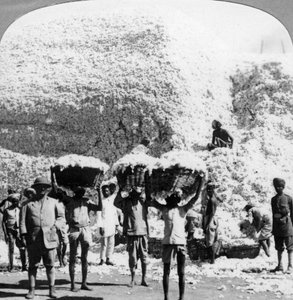 Men Carrying Baskets of Cotton at an Indore Cotton Mill, India by Unbekannt
