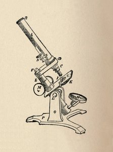 Microscope