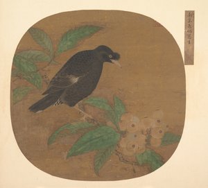 Minah Bird on a Loquat Branch by Unbekannt