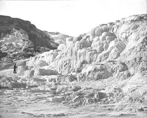 Minerva Terrace, Yellowstone Park, USA