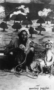 Monkey Juggler, India