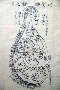 The Channels and Vessels, Book of Acupuncture, Ho Chi Minh City, Vietnam by Unbekannt