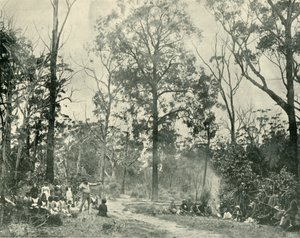 Native Sports, Lake Tyers