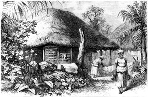 Native Habitation, Santo Domingo, 1873