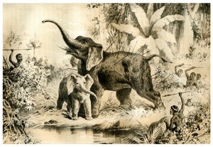 Natives Spearing an Elephant