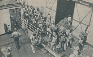Natives Loading Bananas at Kingston, Jamaica, Chanting Scottish Psalms by Unbekannt