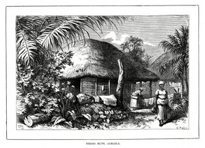 Negro Huts, Jamaica