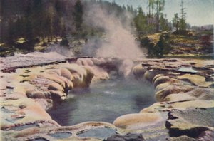 Oblong Geyser, Yellowstone Park