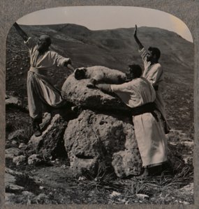 Offering sacrifice of lamb on Altar, Moreh by Unbekannt