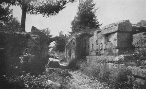 Olympia - Entrance to the Athletic Field, 1913 by Unbekannt