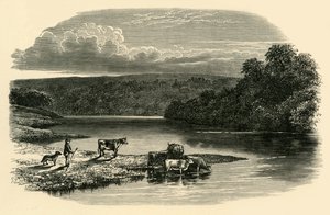 On the Dee