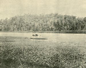 On the Enoggera Lake