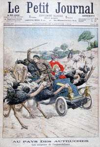 Ostriches attacking a car, California, USA, 1904 by Unbekannt
