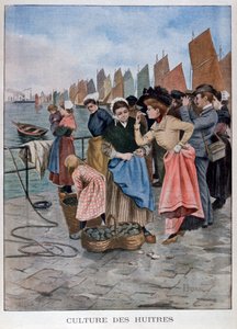 Oyster seller