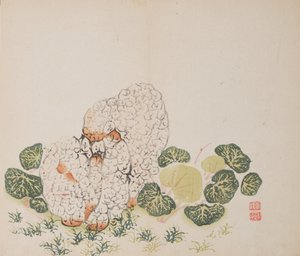Page from Shi Zhu Zhai by Unbekannt