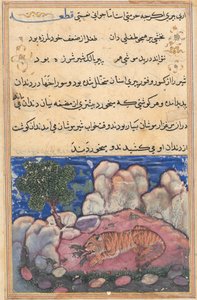Page from Tales of a Parrot Tuti-nama: Fifteenth night: The lion disturbed by mice, 1558-1560 by Unbekannt