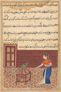 Page from Tales of a Parrot Tuti-nama: Fifty-first Night: The Parrot Addresses Khujasta by Unbekannt