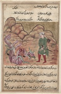 Page from Tales of a Parrot Tuti-nama: Fifty-second Night: The Son of the Pious Man by Unbekannt