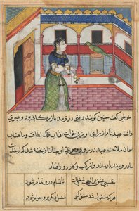 Page from Tales of a Parrot Tuti-nama: Forty-Second Night: The Parrot Addresses..., c. 1560 by Unbekannt