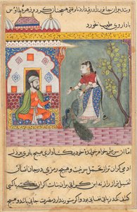 Page from Tales of a Parrot Tuti-nama: Nineteenth night: The Brahman