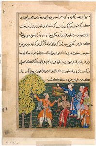 Page from Tales of a Parrot Tuti-nama: Ninth night: The king plucks fruit from the Tree by Unbekannt