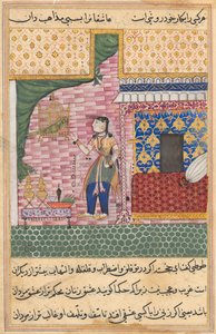 Page from Tales of a Parrot Tuti-nama: Seventeenth night: The parrot..., c. 1560 by Unbekannt