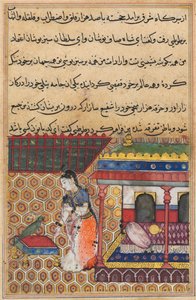 Page from Tales of a Parrot Tuti-nama: Thirty-Eight Night: The Parrot Addresses Khujasta