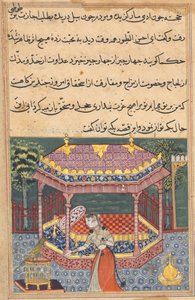 Page from Tales of a Parrot Tuti-nama: Thirty-seventh Night: The Parrot Addresses Khujasta by Unbekannt