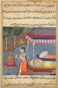 Page from Tales of a Parrot Tuti-nama: Thirty-sixth Night: The Parrot Addresses Khujasta, c. 15th Century by Unbekannt
