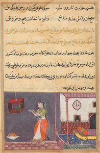 Page from Tales of a Parrot Tuti-nama: Twenty-fifth Night: The Parrot Addresses Khujasta