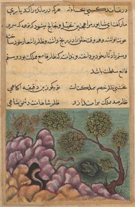 Page from Tales of a Parrot Tuti-nama: Twenty-sixth Night: The Dethroned Frog by Unbekannt