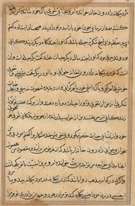 Page from Tales of a Parrot Tuti-nama: text page by Unbekannt