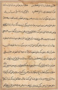 Page from Tales of a Parrot Tuti-nama: text page by Unbekannt