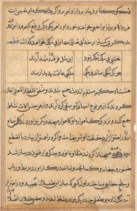 Page from Tales of a Parrot Tuti-nama: text page by Unbekannt