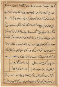 Page from Tales of a Parrot Tuti-nama: Text Page