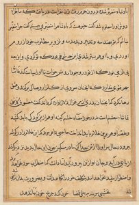 Page from Tales of a Parrot Tuti-nama: text page by Unbekannt