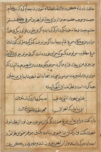 Page from Tales of a Parrot Tuti-nama: text page, c. 1560 by Unbekannt