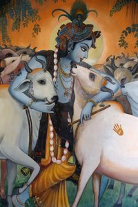 Hindu God Krishna Hugging Cows, India