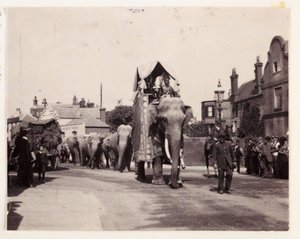 Parade of elephants, c 1905
