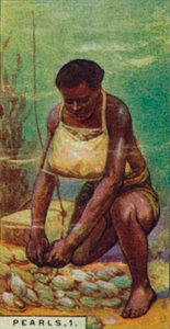 Pearls 1. Native Diver at Work, Ceylon by Unbekannt
