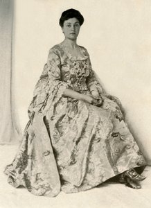 Photograph of a Kincob Brocade, with Silk Embroidered Stomacher