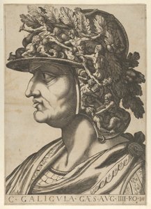 Plate 4: Caius in profile facing left, from 