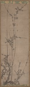Plum Blossoms